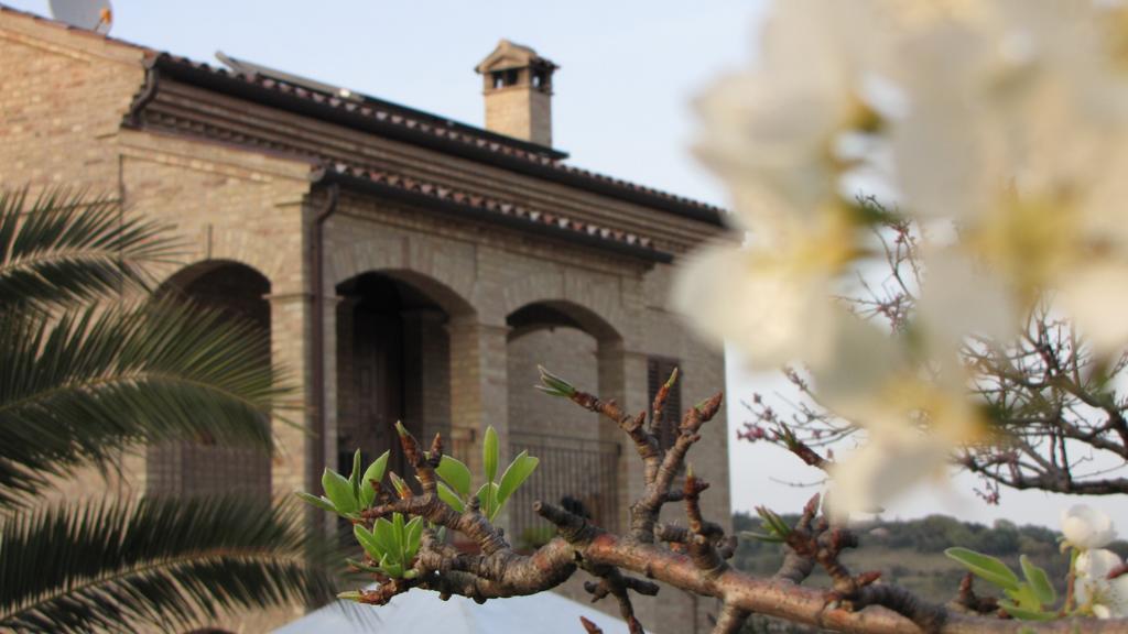 Bed And Breakfast Aratro & Rosmarino 시비타노바 마르셰 외부 사진